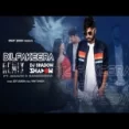 Dil Fakeera (remix) Dj Shadow Dubai