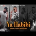 Ya Habibi Remix - Dj Shadow Dubai