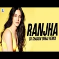 Ranjha (remix) Dj Shadow Dubai