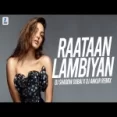 Raataan Lambiyan (remix) Dj Shadow Dubai X Dj Ankur