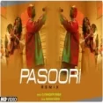 Pasoori (remix)