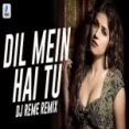 Dil Mein Hai Tu (remix) Dj Reme