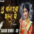 Tu Bangdya Bharun Ghene (dj Remix)