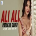 Ali Ali Patakha Guddi (circuit House) Dj Remex