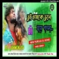 Tui Hamke Bhule Ja (remix)