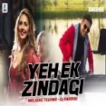 Yeh Ek Zindagi (melodic Techno Mix) Dj Baddiee