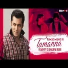 Tumse Milne Ki Tamanna Hai (remix) Dj Shadow Dubai