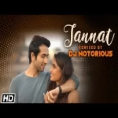 Jannat Remix - Dj Notorious