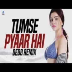 Tumse Pyaar Hai (remix) Debb