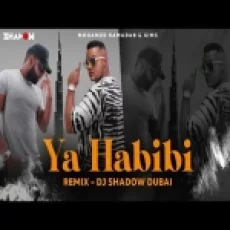 Ya Habibi Remix - Dj Shadow Dubai