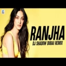 Ranjha (remix) Dj Shadow Dubai