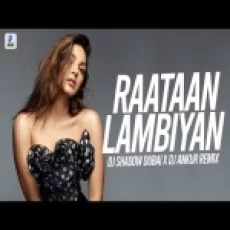 Raataan Lambiyan (remix) Dj Shadow Dubai X Dj Ankur