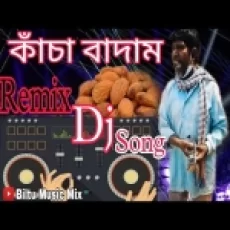 Kacha Badam (remix)