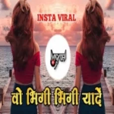 Wo Bheegi Bheegi Yaadein (remix) Viral Dj