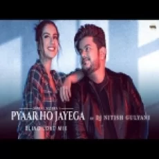 Pyaar Ho Jayega (blind Love Mix) Dj Nitish Gulyani