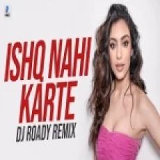 Ishq Nahi Karte (remix) Dj Roady