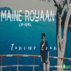 Maine Royaan (lofi Remix) Tanveer Evan