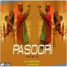 Pasoori (remix)