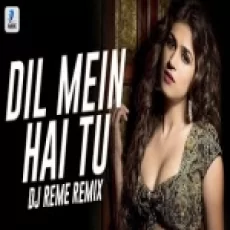 Dil Mein Hai Tu (remix) Dj Reme