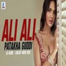 Ali Ali Patakha Guddi (circuit House) Dj Remex
