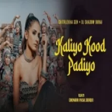Kaliyo Kood Padiyo (rajasthani Folk Mix) Chitralekha Sen X Dj Shadow Dubai