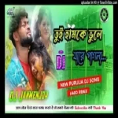 Tui Hamke Bhule Ja (remix)