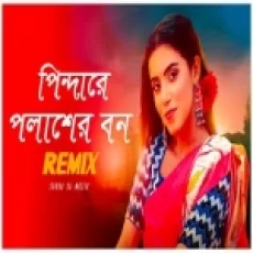 Pindare Polasher Bon (bengali Folk Remix)
