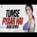 Tumse Pyaar Hai (remix) Debb