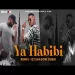 Ya Habibi Remix - Dj Shadow Dubai
