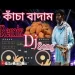 Kacha Badam (remix)