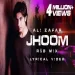Dil Jhoom Jhoom Chale Soniya (remix)