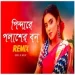 Pindare Polasher Bon (bengali Folk Remix)