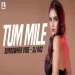 Tum Mile (sundowner Vibe) Dj Raz