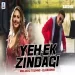Yeh Ek Zindagi (melodic Techno Mix) Dj Baddiee