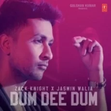 Dum Dee Dee Dum - Zack Knight