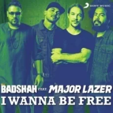 I Wanna Be - Badshah