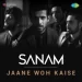 Jaane Woh Kaise - Sanam