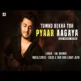Tumko Dekha Toh Pyaar Aagaya - Raj Barman