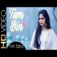 Tum Bin (cover ) Debolinaa Nandy