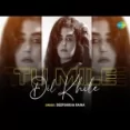 Tu Mile Dil Khile (cover) - Deepshikha Raina