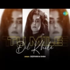 Tu Mile Dil Khile (cover) - Deepshikha Raina