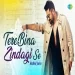 Tere Bina Zindagi Se - Rahul Jain