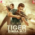 Dil Diyan Gallan (tiger Zinda Hai)