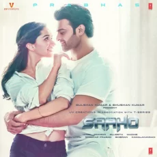Bad Boy (saaho)