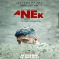 Voice Of Anek (anek)