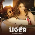 Mera Banega Tu (liger)