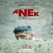 Voice Of Anek (anek)