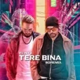 Tere Bina - Bohemia