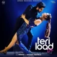 Teri Load Ve - Singga