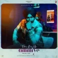 Fikar Kari Na Ammiye - Ranjit Bawa